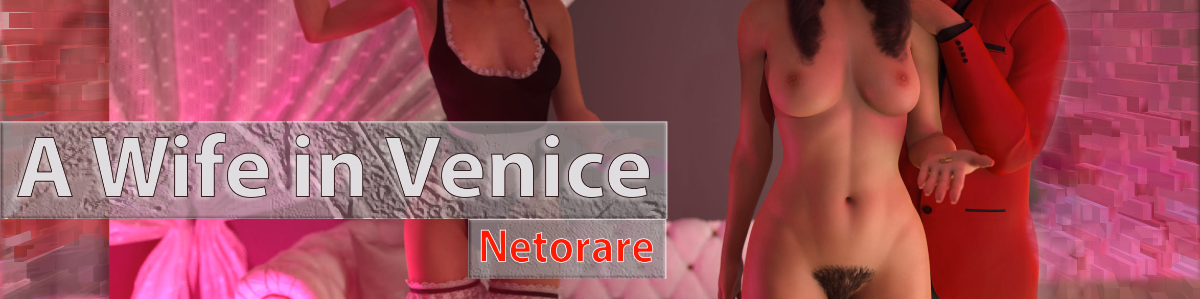 A Wife in Venice cover