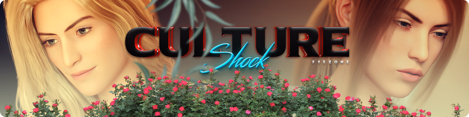 Culture Shock cover