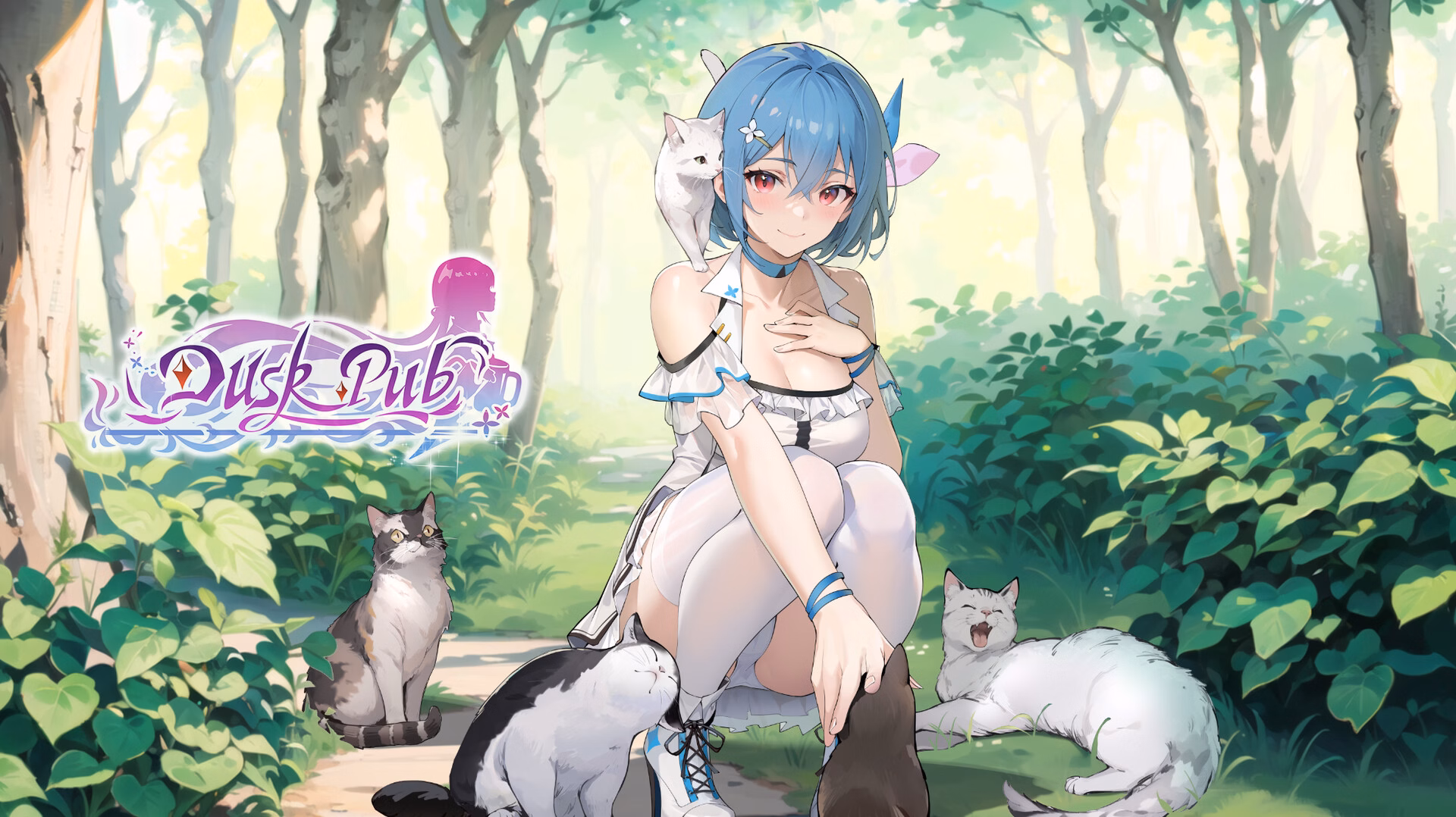 Dusk Pub cover