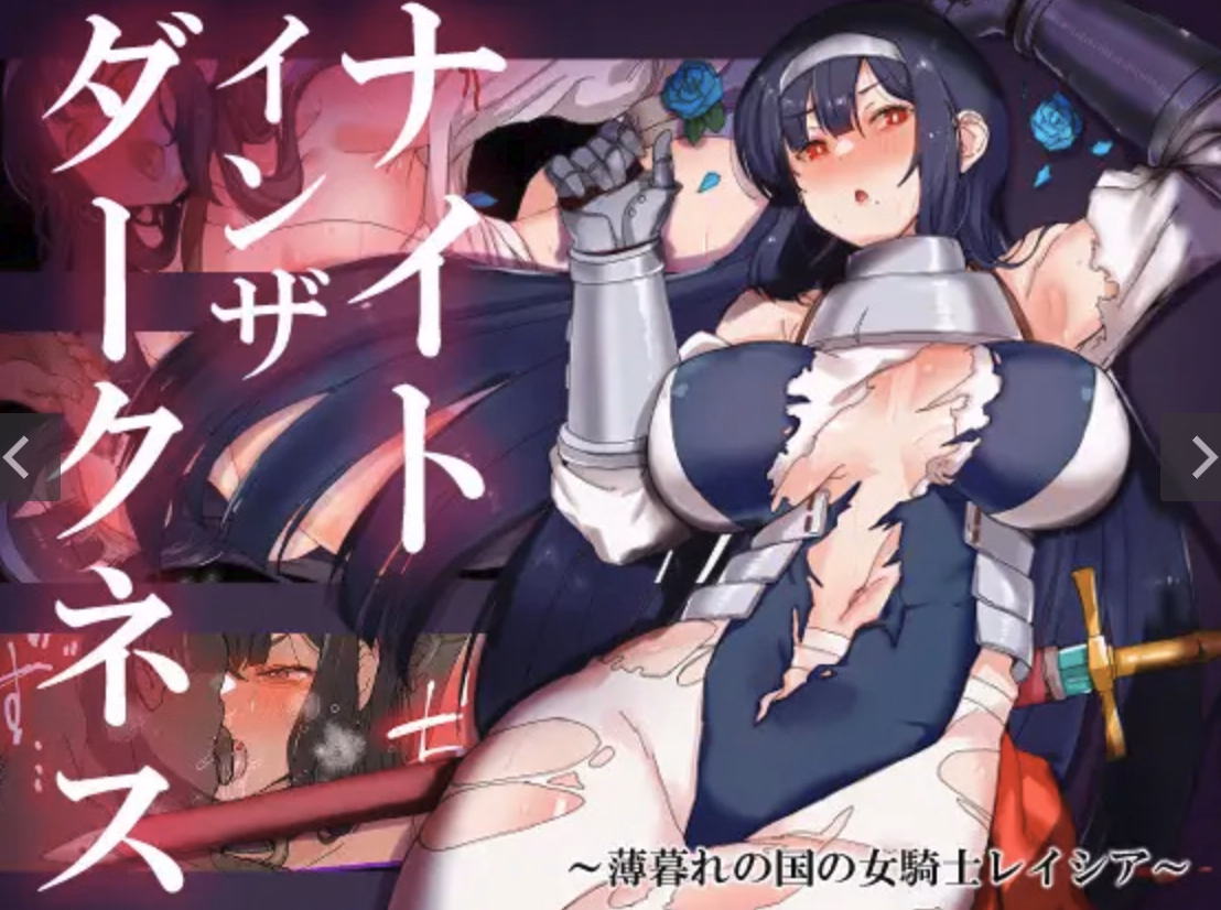 Knight in the Darkness ~The Twilight Kingdom's Lady Knight, Reisha~ cover