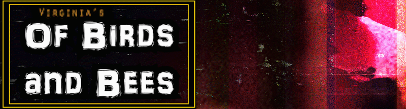 Of Birds and Bees cover