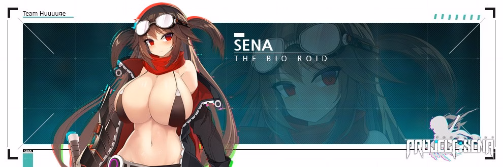 Project Sena cover