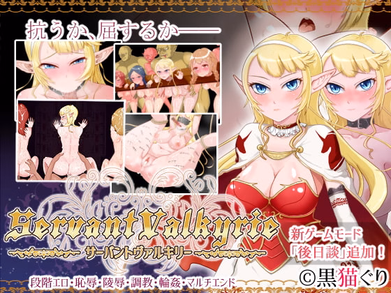 Servant Valkyrie cover