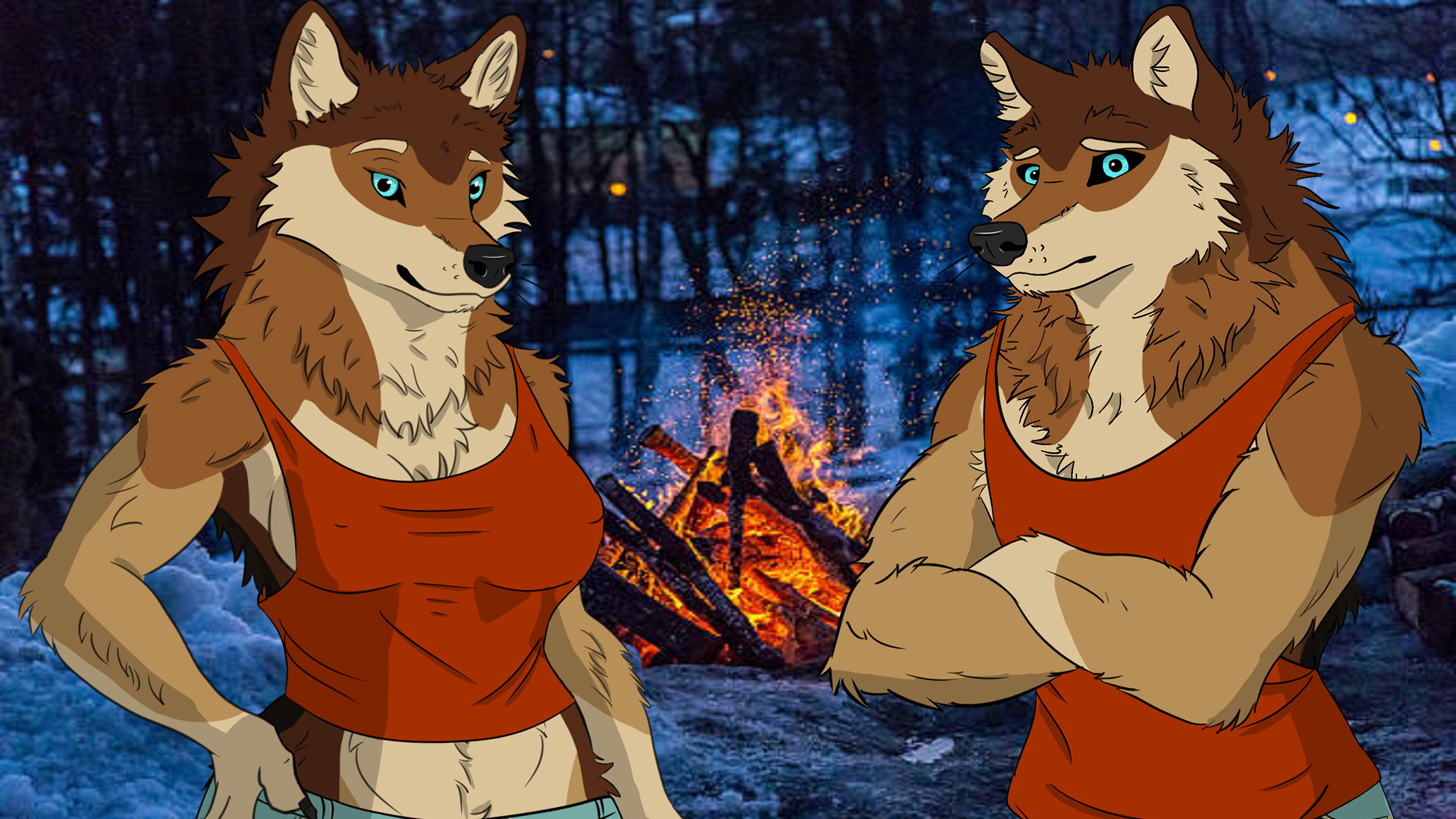 Silent Snowfall cover