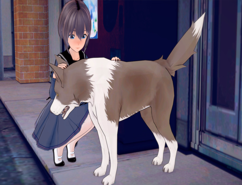 Screenshot 14