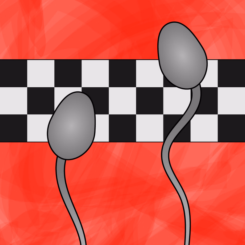 Sperm Race cover