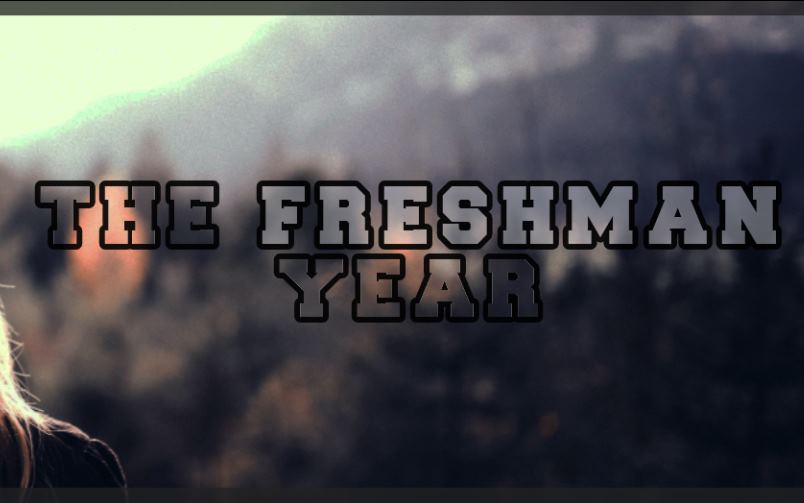 The Freshman Year cover