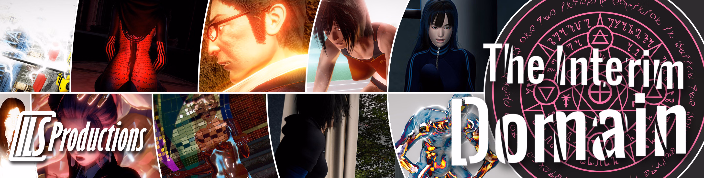 The Interim Domain cover