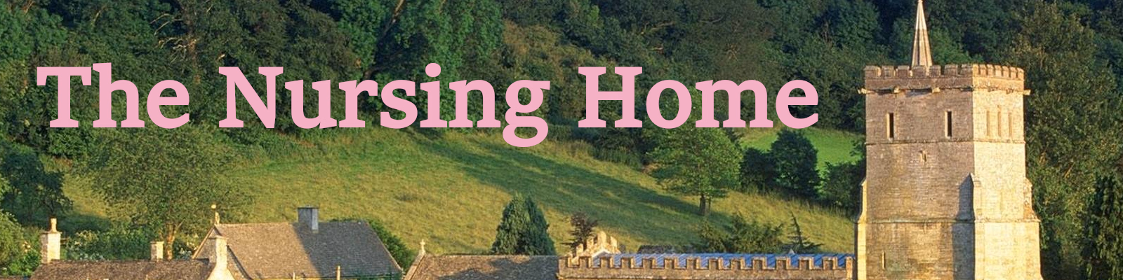 The Nursing Home cover