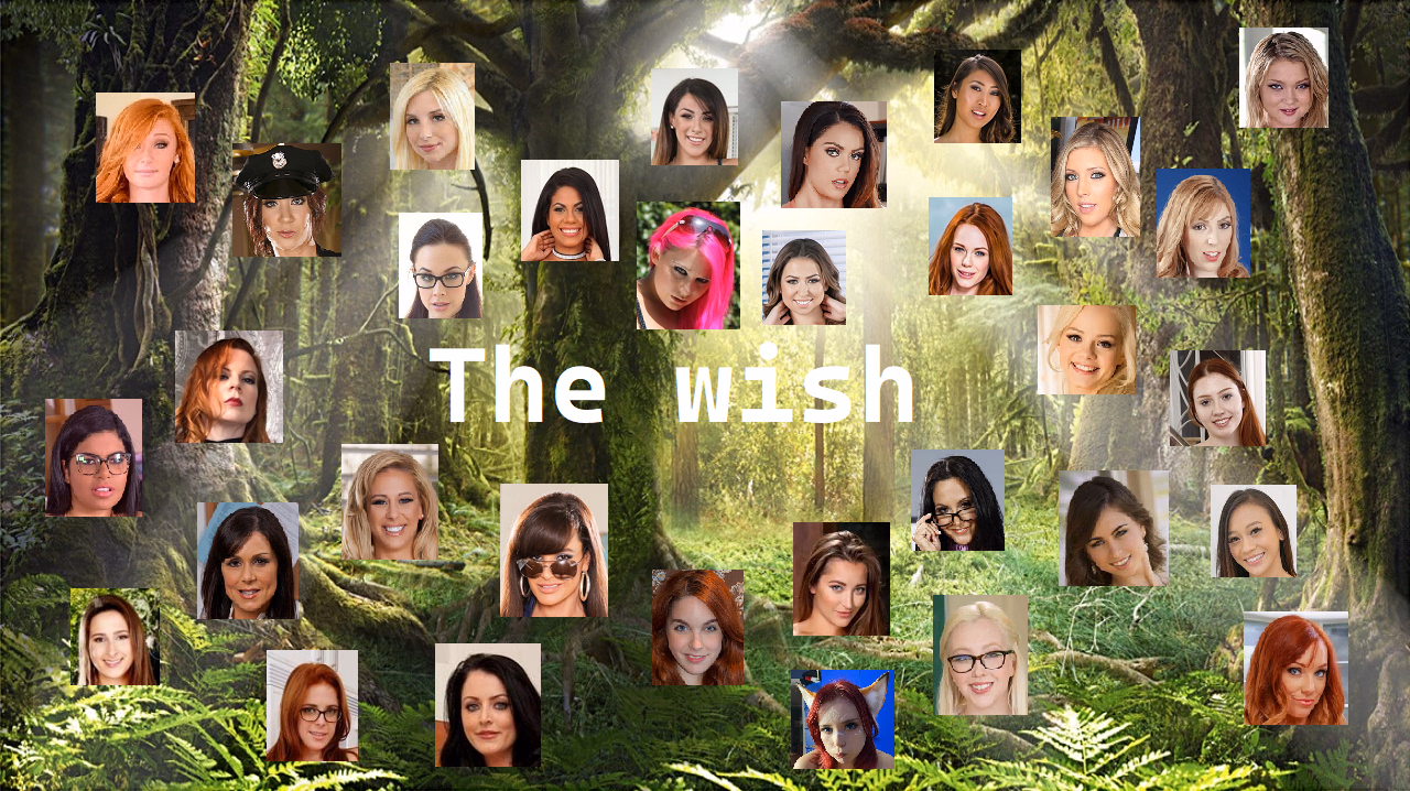 The Wish cover
