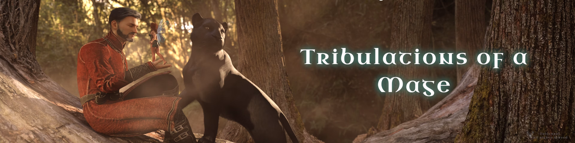 Tribulations of a Mage cover